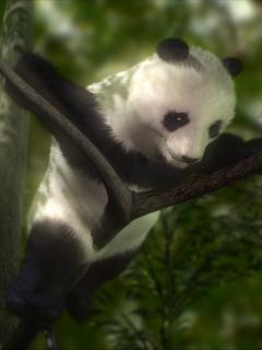 Other Wallpapers 0726